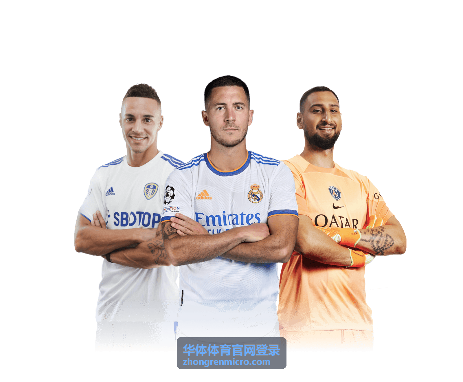 华体体育官网登录会员账号与登录帮助