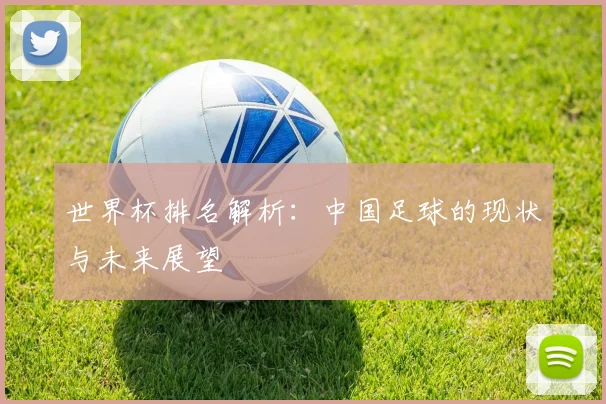 世界杯排名解析：中国足球的现状与未来展望